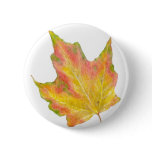Maple Leaf in Autumn Colors Yellow and Gold Button