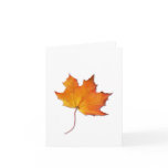 Maple Leaf Note Card