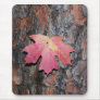 Maple Leaf of Bark Mouse Pads