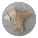 Maple leaf on pavement stickers