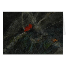 Maple Leaf on Vermont Waterfall Greeting Card