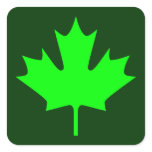 Maple Leaf - Stickers