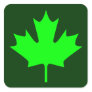 Maple Leaf - Stickers