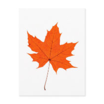 Maple Leave Post Cards