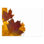 Maple leaves business cards