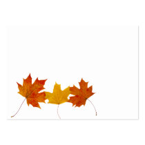 Maple leaves business cards