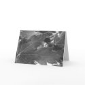 Maple Leaves Card