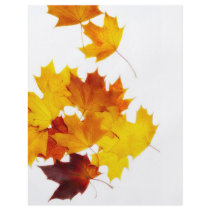 Maple leaves flyer design