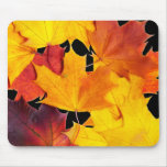 Maple leaves mousepads
