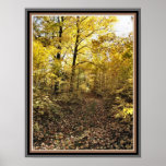 Maple Sugar Bush Path - Fall Eastern Ontario Posters
