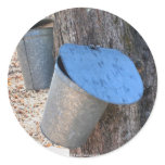 Maple Syrup Sap Buckets Nature Photo Sticker Label