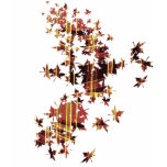 Maple Tartan t-shirts
