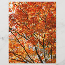 Maple tree foliage custom flyer