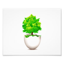 maple tree growing out of eggshell eco graphic.png photo art