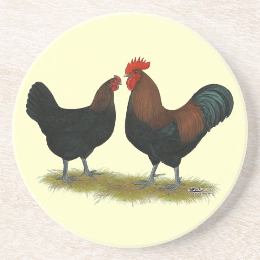 Marans Black Copper Beverage Coaster