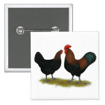 Marans Black Copper Button