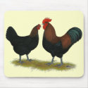 Marans Black Copper mousepads