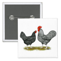 Marans:  Cuckoo Pair Button