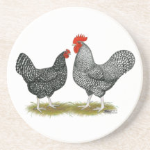 Marans:  Cuckoo Pair Drink Coasters