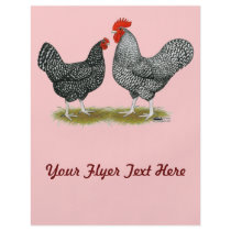 Marans:  Cuckoo Pair