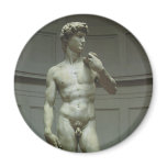 Marble Statue of David by Michelangelo Magnet