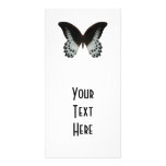 Marble Swallowtail Butterfly photo cards