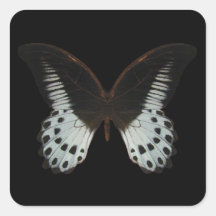 Marble Swallowtail Butterfly Square Sticker