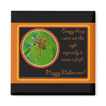 Marbled Orb Weaver Spider Happy Halloween Items Magnet