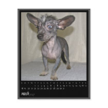 march 2012 calendar