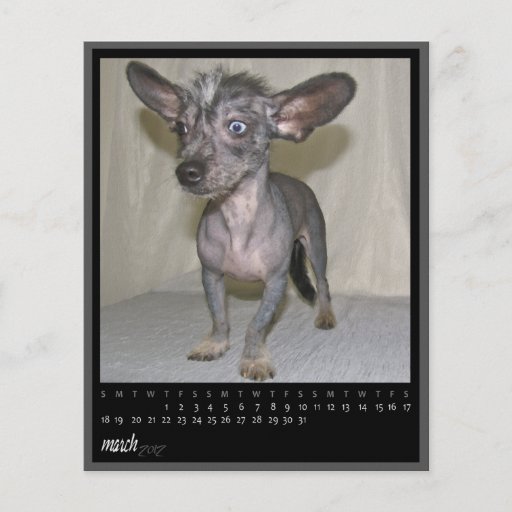 march 2012 calendar personalized flyer