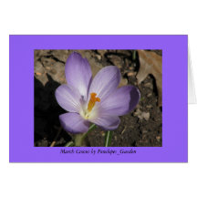 March Crocus by Penelopes_Garden Card