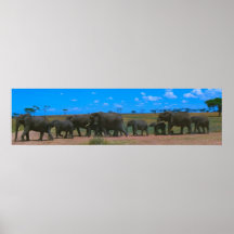 March of the Elephants Poster