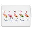 March of the Tropical Flamingos cards