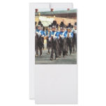 Marching Band rack cards