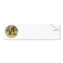 Mare and Colt Bumper Stickers