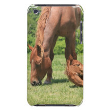 Mare and Colt iTouch Case iPod Case-Mate Cases