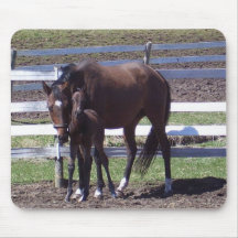 Mare and colt mouse mat