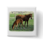 Mare and Foal 9P30D-175 buttons