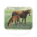 Mare and Foal 9P30D-175 stickers