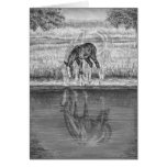 Mare and Foal Horse Drawing by Kelli Swan Cards