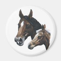 mare and foal magnet