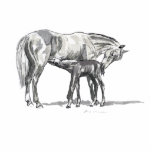 Mare and Foal Photo Cut Outs