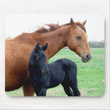 Mare and Her Colt Mouse Pads
