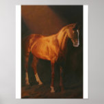 MARE CANDY POSTERS