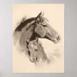 Mare-n-Foal with charcoal effect-tint posters
