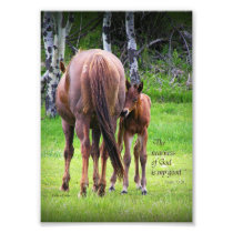 Mare With Colt - Nearness of God 5 x 7 print Photographic Print
