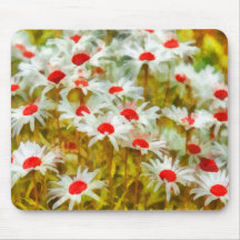 Marguerites in Field Mouse Pads