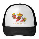Mariachi Hat