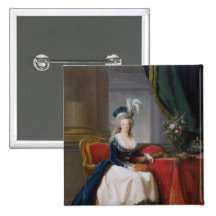 Marie-Antoinette  1788 Pins