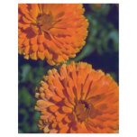 Marigold Flame Full Color Flyer